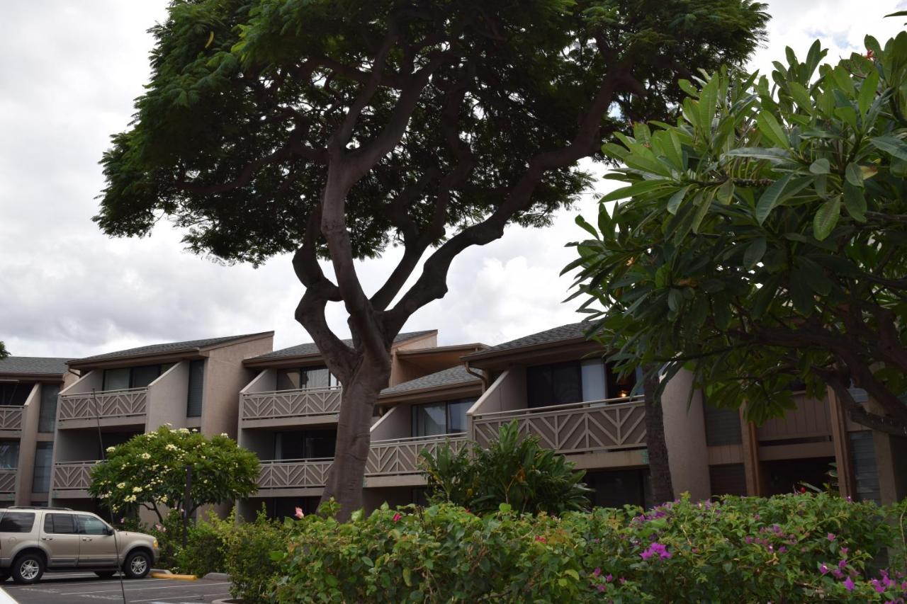 Kihei Holiday 116 Ngoại thất bức ảnh